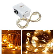 Fairy Lights Multi LED Fairy String Light (1 Pc)